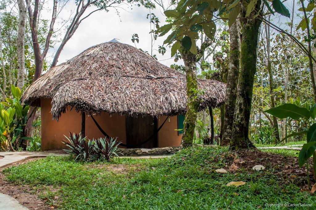 Villa El Colombre Palenque Zimmer foto