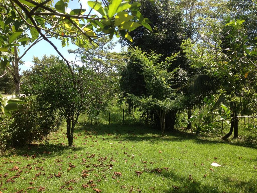 Villa El Colombre Palenque Exterior foto