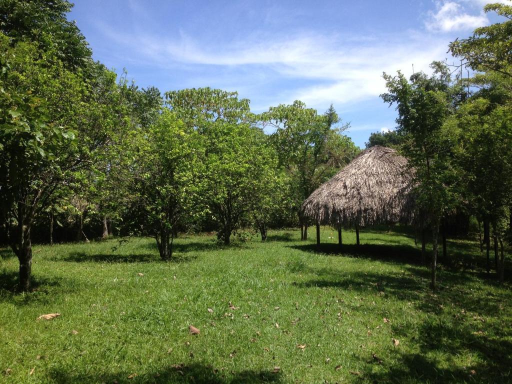 Villa El Colombre Palenque Exterior foto